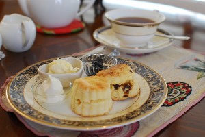 top_img001_sp